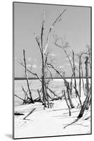 Cuba Fuerte Collection B&W - Desert of White Trees V-Philippe Hugonnard-Mounted Photographic Print