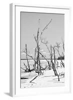 Cuba Fuerte Collection B&W - Desert of White Trees VI-Philippe Hugonnard-Framed Photographic Print