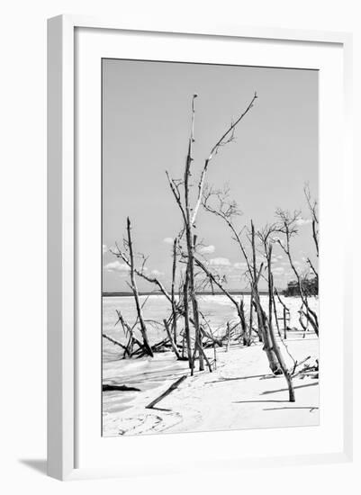 Cuba Fuerte Collection B&W - Desert of White Trees VI-Philippe Hugonnard-Framed Photographic Print