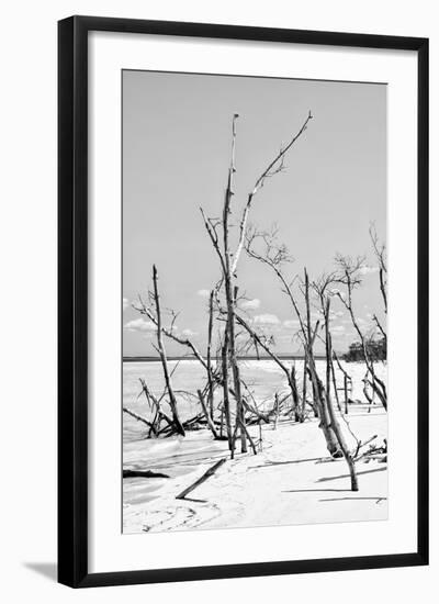 Cuba Fuerte Collection B&W - Desert of White Trees VI-Philippe Hugonnard-Framed Photographic Print