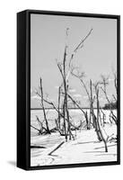 Cuba Fuerte Collection B&W - Desert of White Trees VI-Philippe Hugonnard-Framed Stretched Canvas