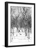 Cuba Fuerte Collection B&W - Desert of White Trees-Philippe Hugonnard-Framed Photographic Print