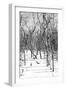 Cuba Fuerte Collection B&W - Desert of White Trees-Philippe Hugonnard-Framed Photographic Print