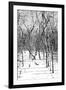 Cuba Fuerte Collection B&W - Desert of White Trees-Philippe Hugonnard-Framed Photographic Print
