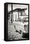 Cuba Fuerte Collection B&W - Ford Classic American Car III-Philippe Hugonnard-Framed Stretched Canvas