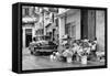 Cuba Fuerte Collection B&W - Sunflowers-Philippe Hugonnard-Framed Stretched Canvas