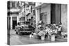 Cuba Fuerte Collection B&W - Sunflowers-Philippe Hugonnard-Stretched Canvas