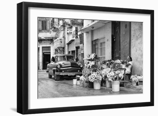 Cuba Fuerte Collection B&W - Sunflowers-Philippe Hugonnard-Framed Photographic Print