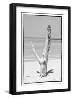 Cuba Fuerte Collection B&W - Tree on the Beach-Philippe Hugonnard-Framed Photographic Print