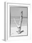 Cuba Fuerte Collection B&W - Tree on the Beach-Philippe Hugonnard-Framed Photographic Print