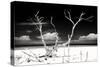 Cuba Fuerte Collection B&W - Trees and White Sand II-Philippe Hugonnard-Stretched Canvas