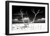 Cuba Fuerte Collection B&W - Trees and White Sand II-Philippe Hugonnard-Framed Photographic Print