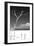 Cuba Fuerte Collection B&W - Trees and White Sand III-Philippe Hugonnard-Framed Photographic Print