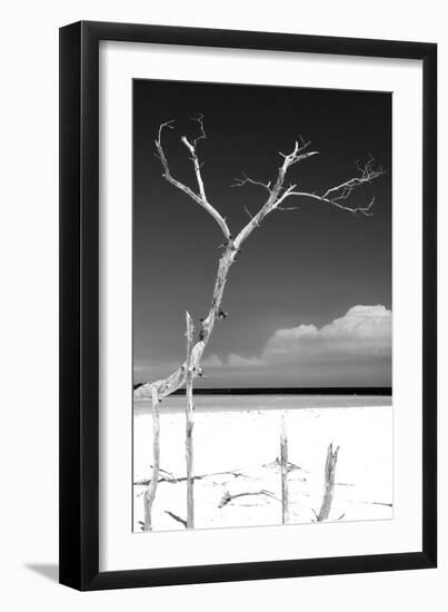 Cuba Fuerte Collection B&W - Trees and White Sand III-Philippe Hugonnard-Framed Photographic Print