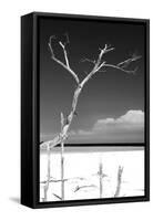 Cuba Fuerte Collection B&W - Trees and White Sand III-Philippe Hugonnard-Framed Stretched Canvas