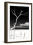 Cuba Fuerte Collection B&W - Trees and White Sand IV-Philippe Hugonnard-Framed Photographic Print