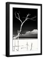 Cuba Fuerte Collection B&W - Trees and White Sand IV-Philippe Hugonnard-Framed Photographic Print