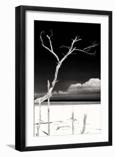 Cuba Fuerte Collection B&W - Trees and White Sand IV-Philippe Hugonnard-Framed Photographic Print