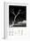 Cuba Fuerte Collection B&W - Trees and White Sand IV-Philippe Hugonnard-Framed Photographic Print