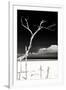 Cuba Fuerte Collection B&W - Trees and White Sand IV-Philippe Hugonnard-Framed Photographic Print