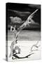 Cuba Fuerte Collection B&W - Trees and White Sand IX-Philippe Hugonnard-Stretched Canvas