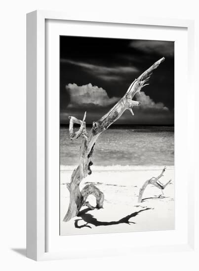 Cuba Fuerte Collection B&W - Trees and White Sand IX-Philippe Hugonnard-Framed Photographic Print