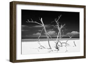 Cuba Fuerte Collection B&W - Trees and White Sand V-Philippe Hugonnard-Framed Photographic Print