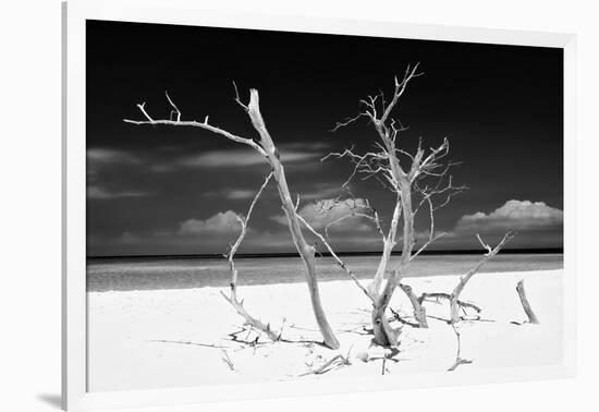 Cuba Fuerte Collection B&W - Trees and White Sand V-Philippe Hugonnard-Framed Photographic Print