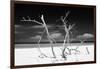 Cuba Fuerte Collection B&W - Trees and White Sand V-Philippe Hugonnard-Framed Photographic Print