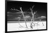 Cuba Fuerte Collection B&W - Trees and White Sand V-Philippe Hugonnard-Framed Photographic Print