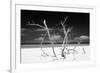 Cuba Fuerte Collection B&W - Trees and White Sand V-Philippe Hugonnard-Framed Photographic Print