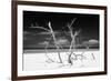 Cuba Fuerte Collection B&W - Trees and White Sand V-Philippe Hugonnard-Framed Photographic Print