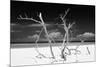 Cuba Fuerte Collection B&W - Trees and White Sand V-Philippe Hugonnard-Mounted Photographic Print