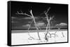 Cuba Fuerte Collection B&W - Trees and White Sand V-Philippe Hugonnard-Framed Stretched Canvas