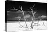 Cuba Fuerte Collection B&W - Trees and White Sand V-Philippe Hugonnard-Stretched Canvas