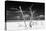 Cuba Fuerte Collection B&W - Trees and White Sand V-Philippe Hugonnard-Stretched Canvas