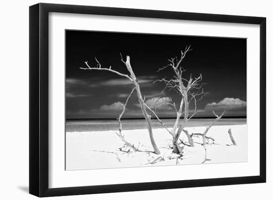 Cuba Fuerte Collection B&W - Trees and White Sand V-Philippe Hugonnard-Framed Photographic Print