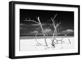 Cuba Fuerte Collection B&W - Trees and White Sand V-Philippe Hugonnard-Framed Photographic Print