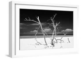Cuba Fuerte Collection B&W - Trees and White Sand V-Philippe Hugonnard-Framed Photographic Print