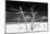 Cuba Fuerte Collection B&W - Trees and White Sand V-Philippe Hugonnard-Mounted Photographic Print