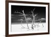 Cuba Fuerte Collection B&W - Trees and White Sand V-Philippe Hugonnard-Framed Photographic Print