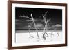 Cuba Fuerte Collection B&W - Trees and White Sand V-Philippe Hugonnard-Framed Photographic Print