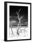 Cuba Fuerte Collection B&W - Trees and White Sand VI-Philippe Hugonnard-Framed Photographic Print