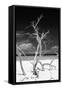 Cuba Fuerte Collection B&W - Trees and White Sand VI-Philippe Hugonnard-Framed Stretched Canvas