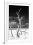 Cuba Fuerte Collection B&W - Trees and White Sand VI-Philippe Hugonnard-Framed Photographic Print