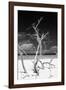 Cuba Fuerte Collection B&W - Trees and White Sand VI-Philippe Hugonnard-Framed Photographic Print