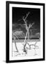 Cuba Fuerte Collection B&W - Trees and White Sand VI-Philippe Hugonnard-Framed Photographic Print