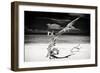 Cuba Fuerte Collection B&W - Trees and White Sand VII-Philippe Hugonnard-Framed Photographic Print