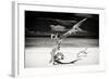 Cuba Fuerte Collection B&W - Trees and White Sand VII-Philippe Hugonnard-Framed Photographic Print