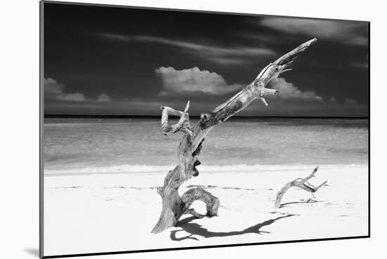 Cuba Fuerte Collection B&W - Trees and White Sand VIII-Philippe Hugonnard-Mounted Photographic Print